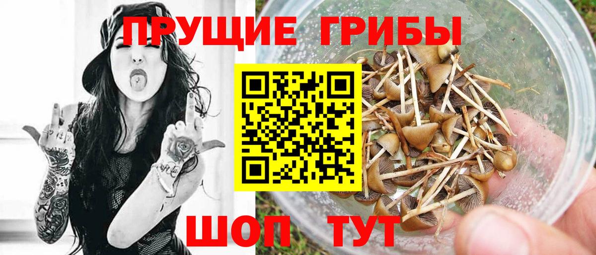Псилоцибиновые грибы MAGIC MUSHROOMS Сыктывкар