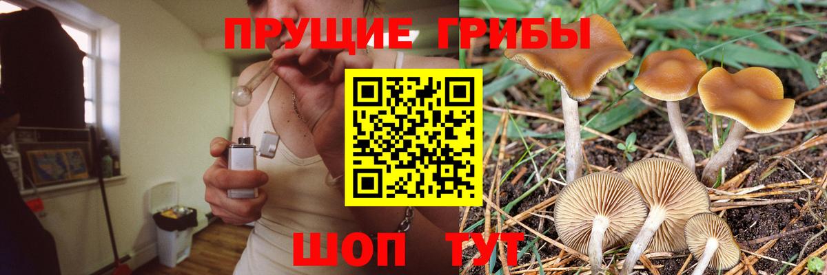 Галлюциногенные грибы Cubensis  Галлюциногенные грибы ЛСД  Вход с VPN  Сыктывкар 