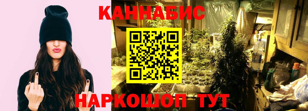 Каннабис Ganja  Шишки марихуана конопля  Вход с VPN  Сыктывкар 